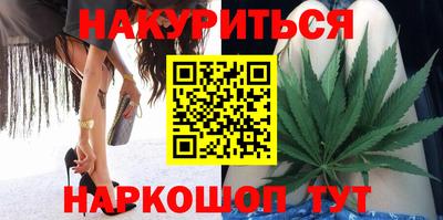 Альфа ПВП Бийск