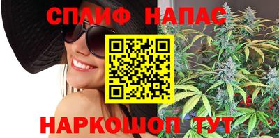Альфа ПВП Бийск