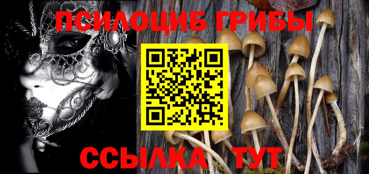 Псилоцибиновые грибы Psilocybine cubensis  Псилоцибиновые грибы Psilocybe  Куйбышев 