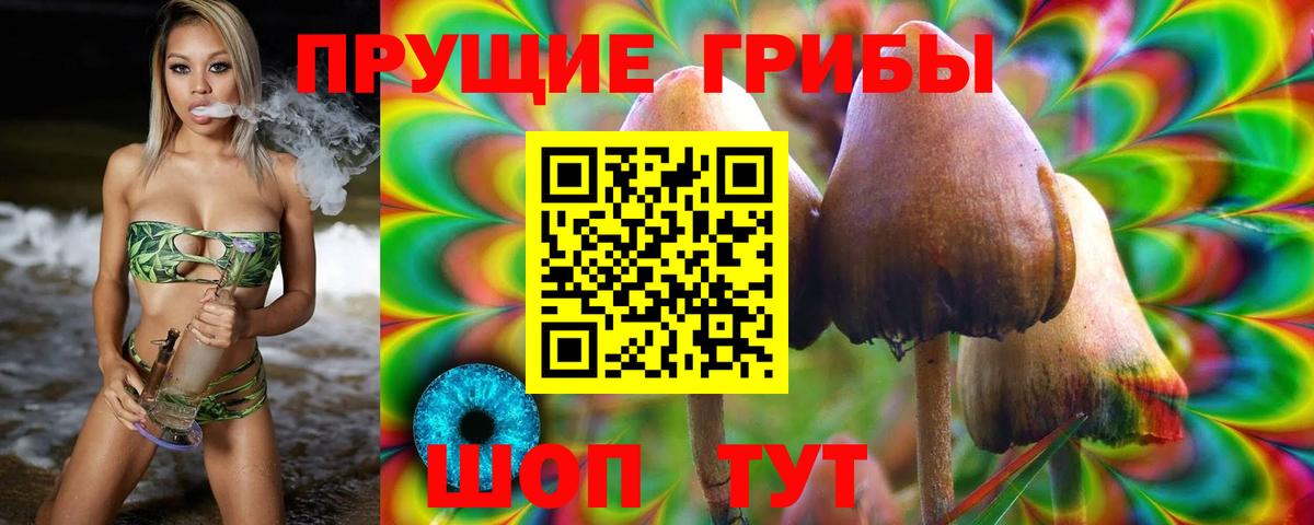 Куйбышев  Псилоцибиновые грибы прущие грибы  Вход с VPN 